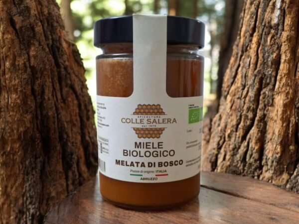 Miellat des bois biologique - melata di bosco 500gr